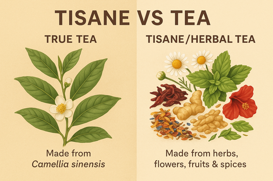what is a tisane